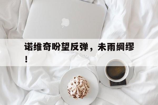 关于诺维奇盼望反弹，未雨绸缪！的信息